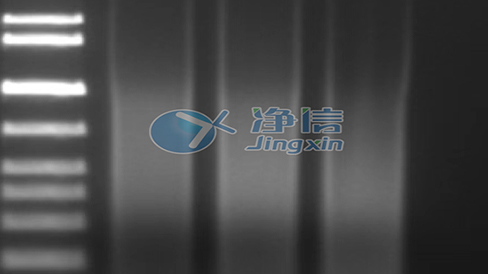 CDM812D Wheel Loader